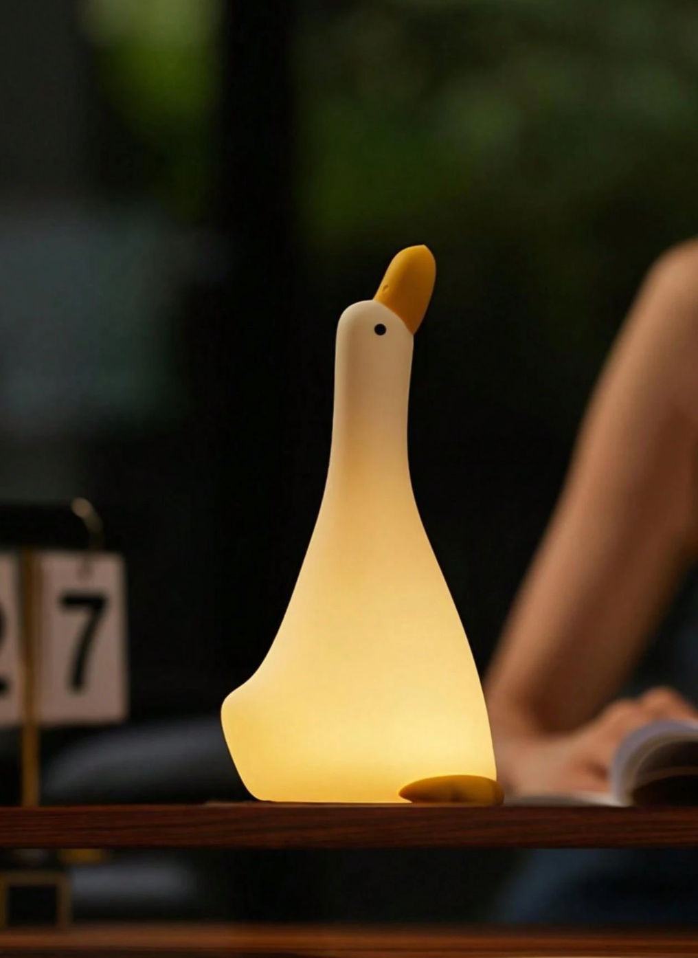 Lúd LED éjjeli lámpa